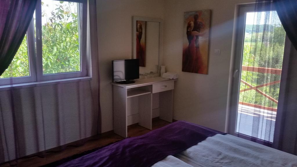 Casa Agnes Vendeghaz Hotel Fantanele  Room photo